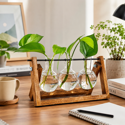 Elegant Plant Propagation Display Station