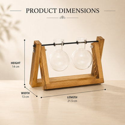 Elegant Plant Propagation Display Station