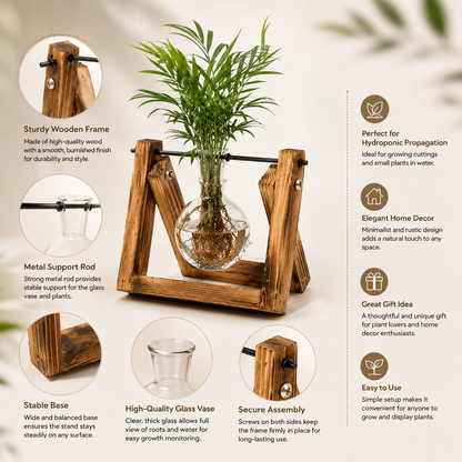 Elegant Plant Propagation Display Station